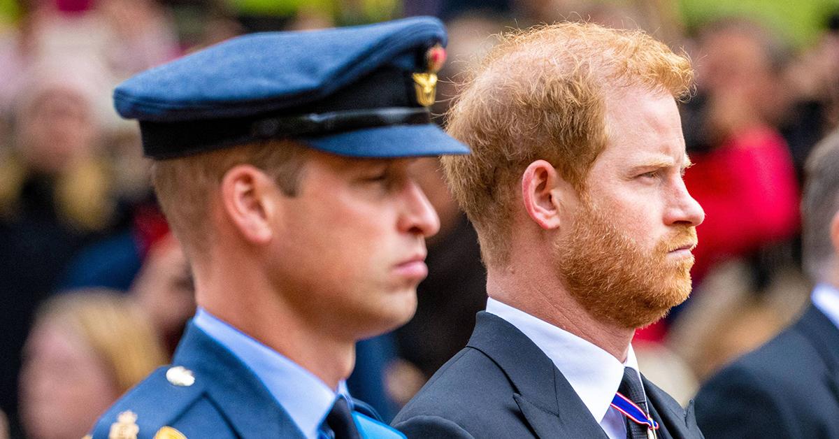 prince harry ditch memoir no trust royal family  million