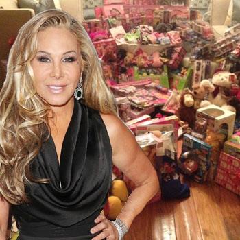 Adrienne Maloof toy drive