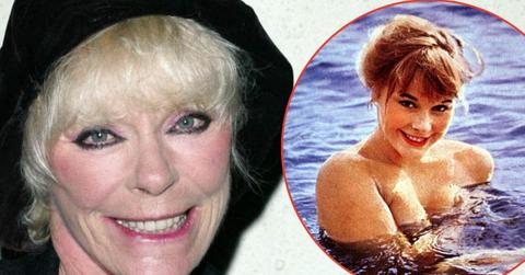 picture of Elke Sommer