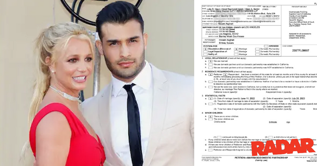 britney spears divorce documents pp