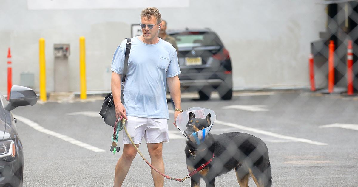 Emily Ratajkowski Walks Dog in Billowing Pants, Crop Top