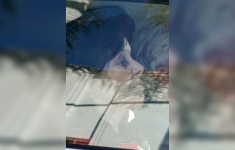 jay leno wife mavis black eye severe dementia diagnosis see photos