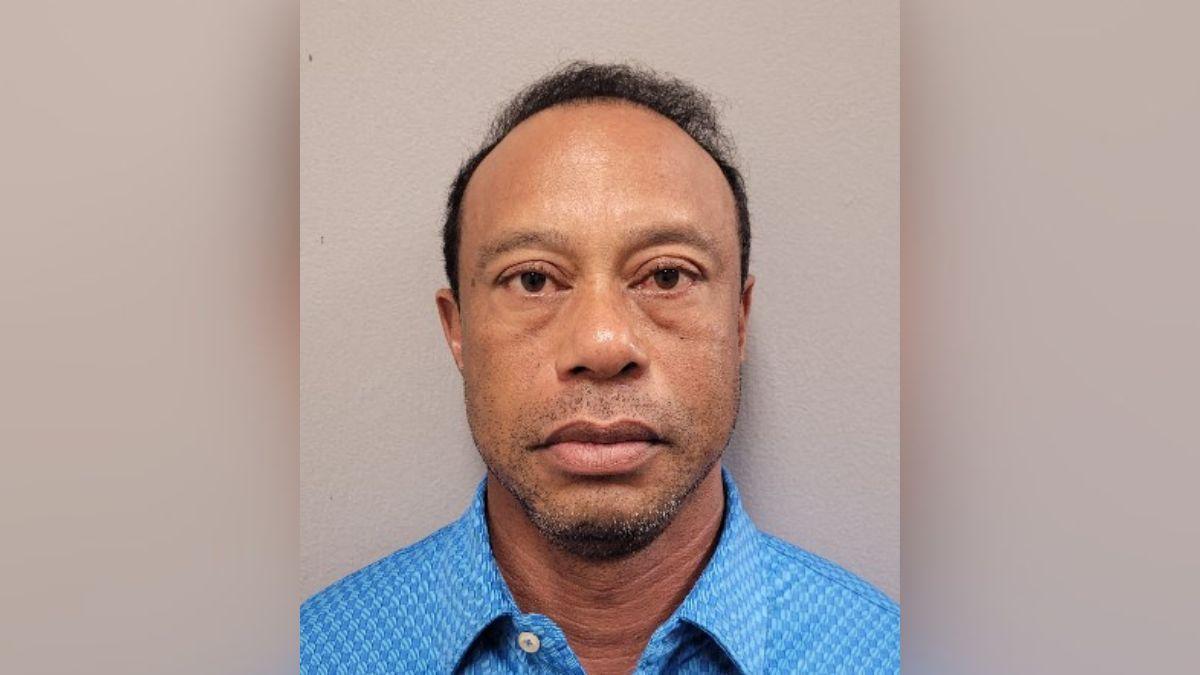 Mugshot of Tiger Woods