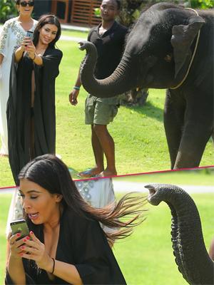 //kim kardashian scared elephants thailand family holiday tall