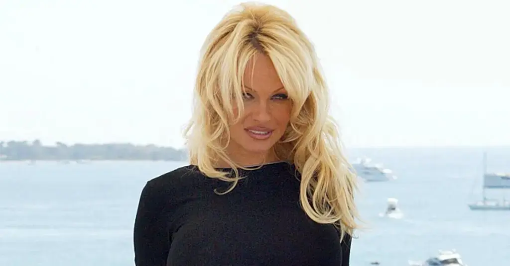 pamela anderson exploitation sex tape ditched blonde bimbo character