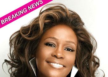 //whitney houston coroner report released