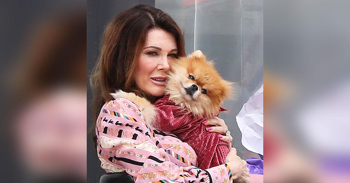 Lisa Vanderpump Unbothered In First Sighting Since Woman Claims Dog ...