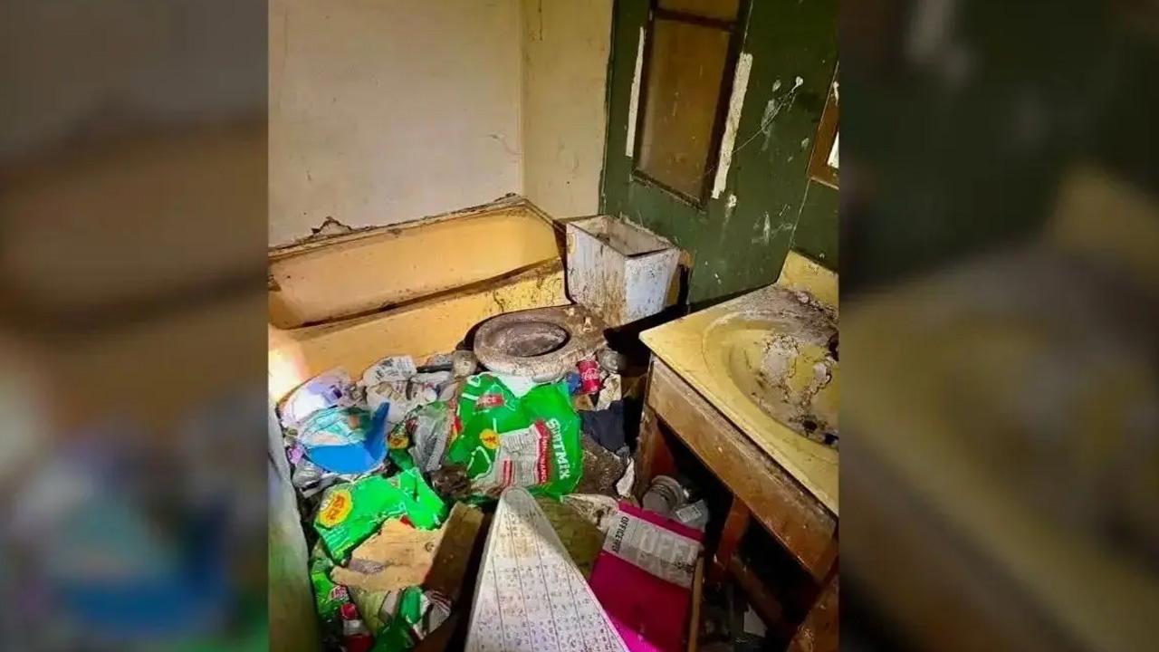 Inside House of Horror