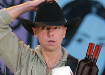 //kenny chesney female break in home