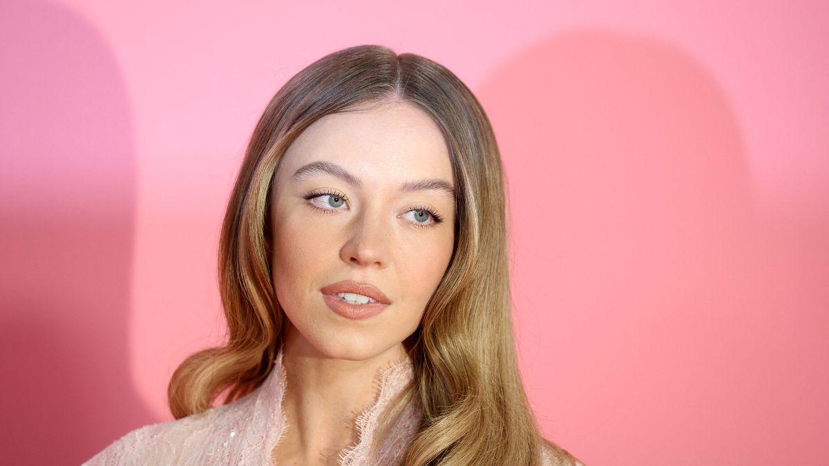 FilmLA granted Sweeney a permit to shoot near the sign, but not to climb or touch the landmark.