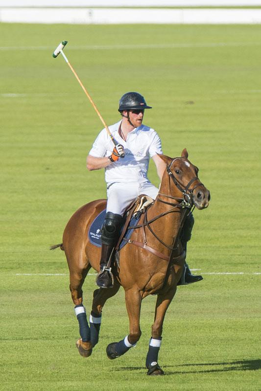 Prince Harry Falls Head-First Charity Polo Match