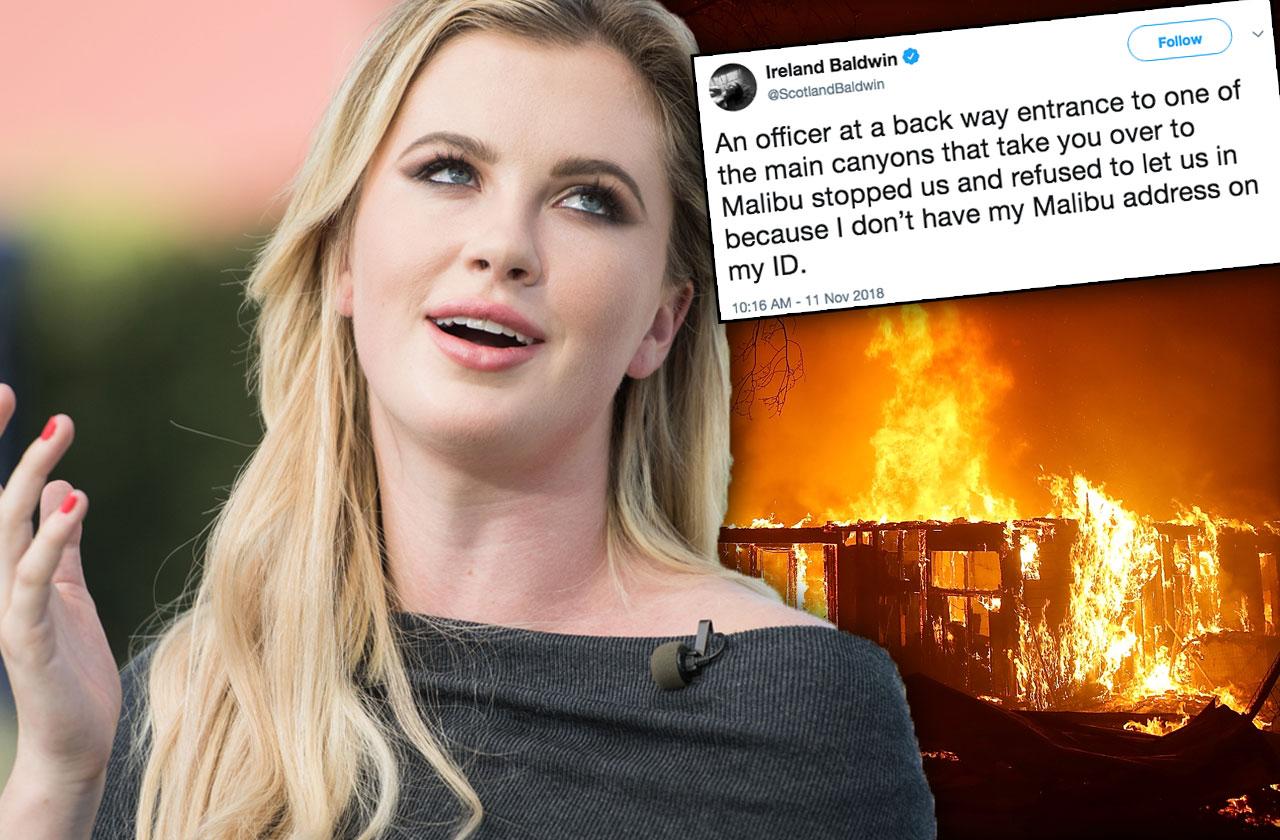 Ireland Baldwin Accused Looting Malibu Fire