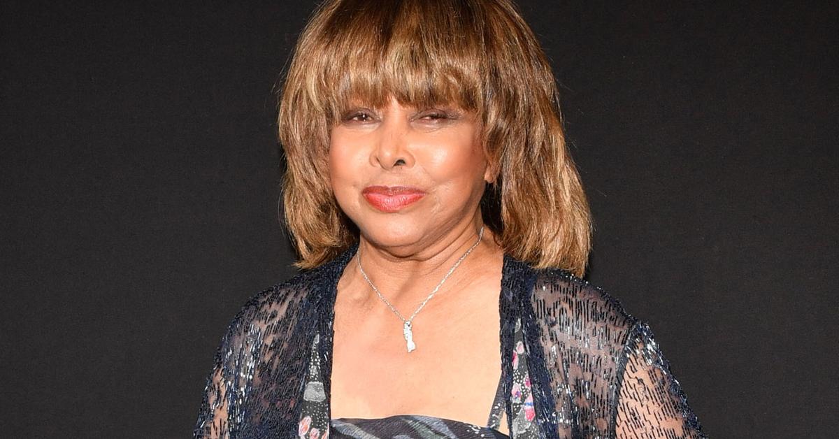 Tina Turner Musical 'To Include Tribute To Son Craig Turner After Suicide