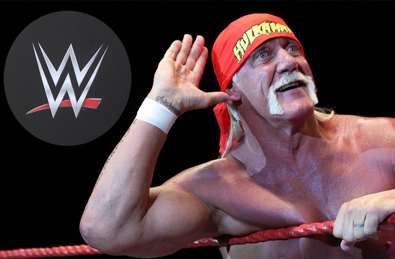 Hulk Hogan Radar Online photo picture
