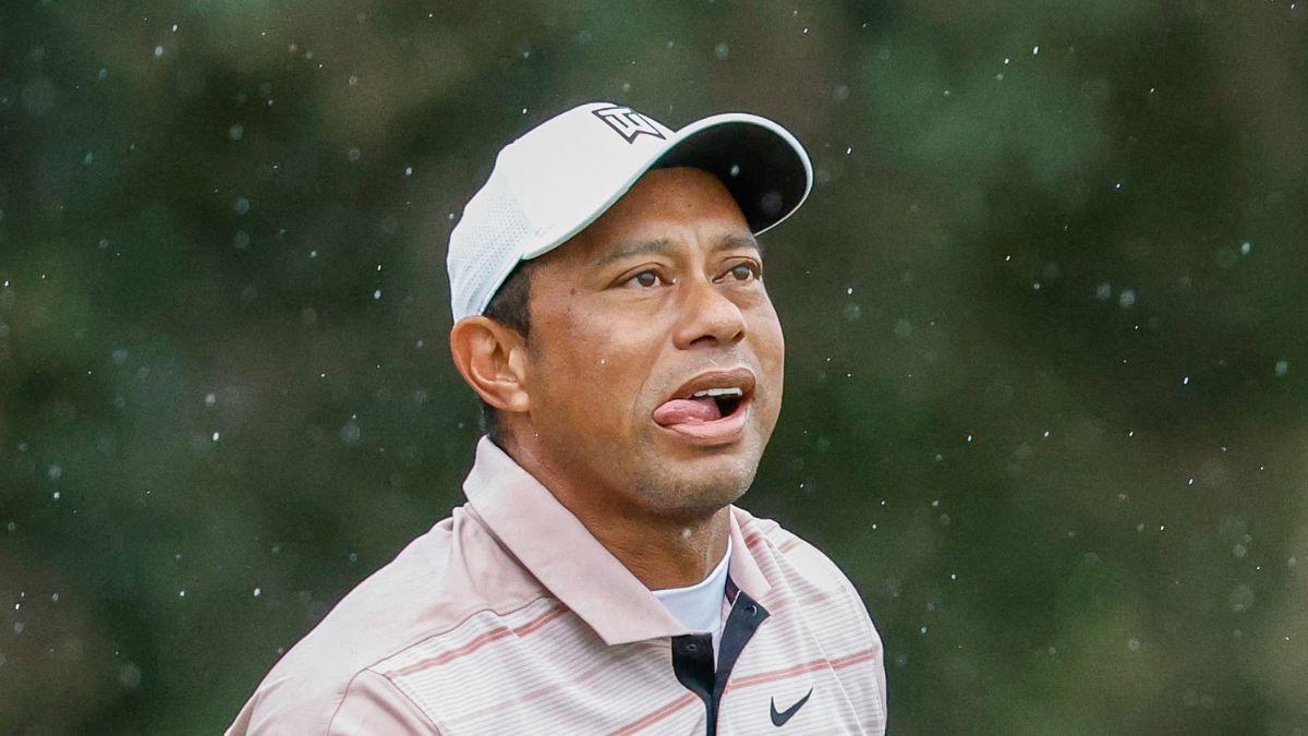 picture of tiger woods