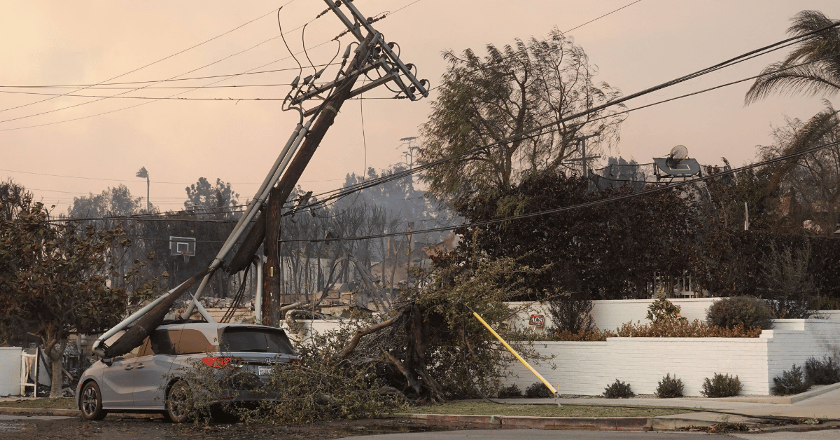 tom hanks survivors guilt pacific palisades fire