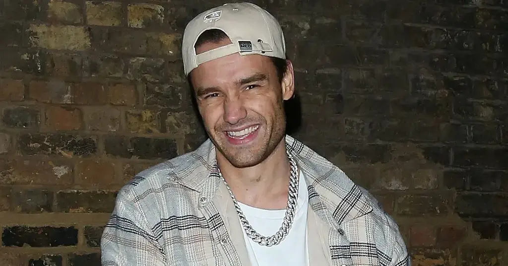 liam payne partied and drank alcohol with prostitutes from escort platform at hotel