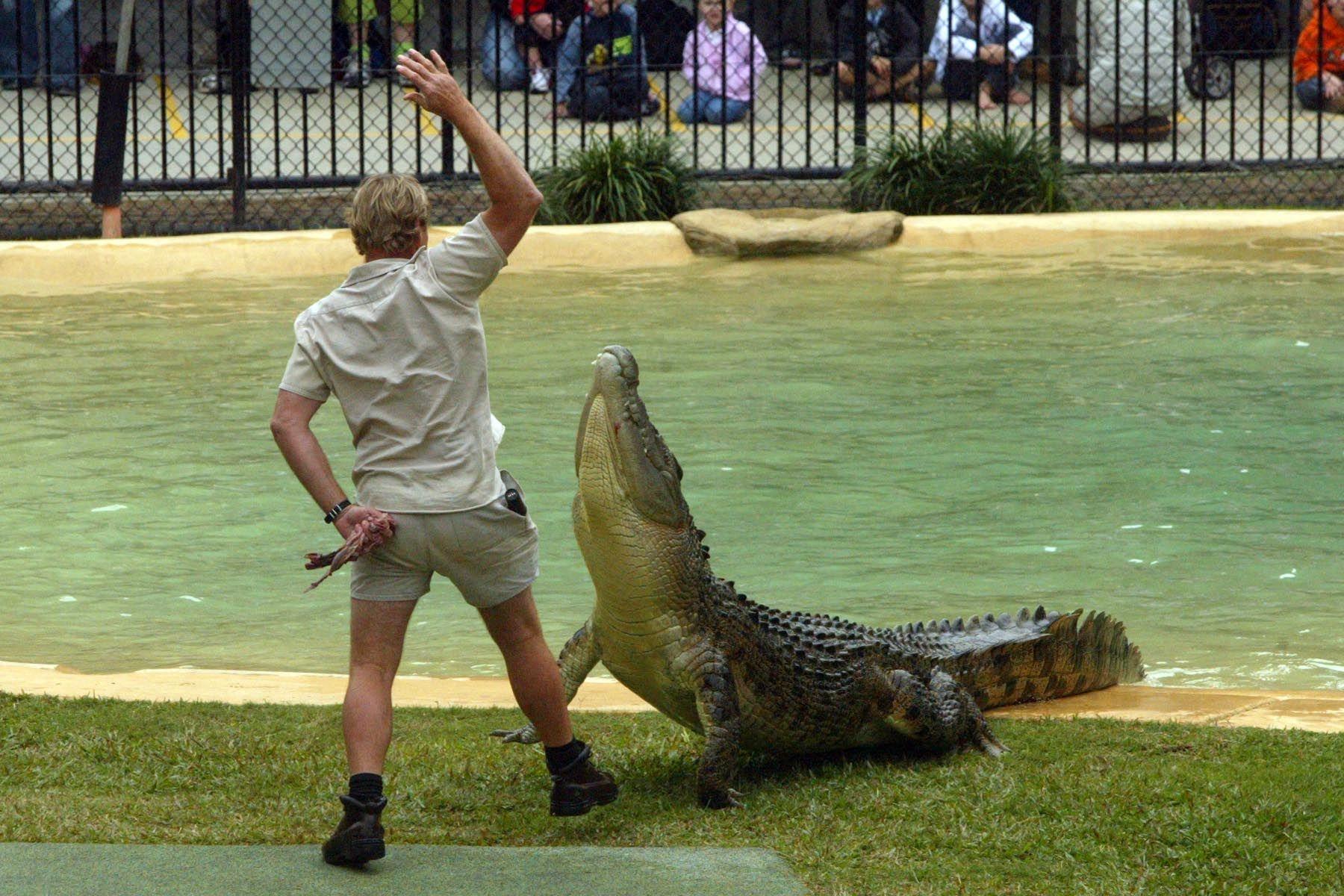 Photo of Steve Irwin crocodile demo