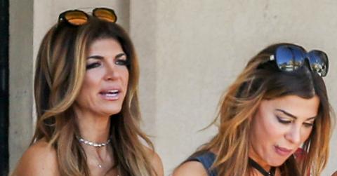 Teresa Giudice RHONJ Drama Siggy Flicker