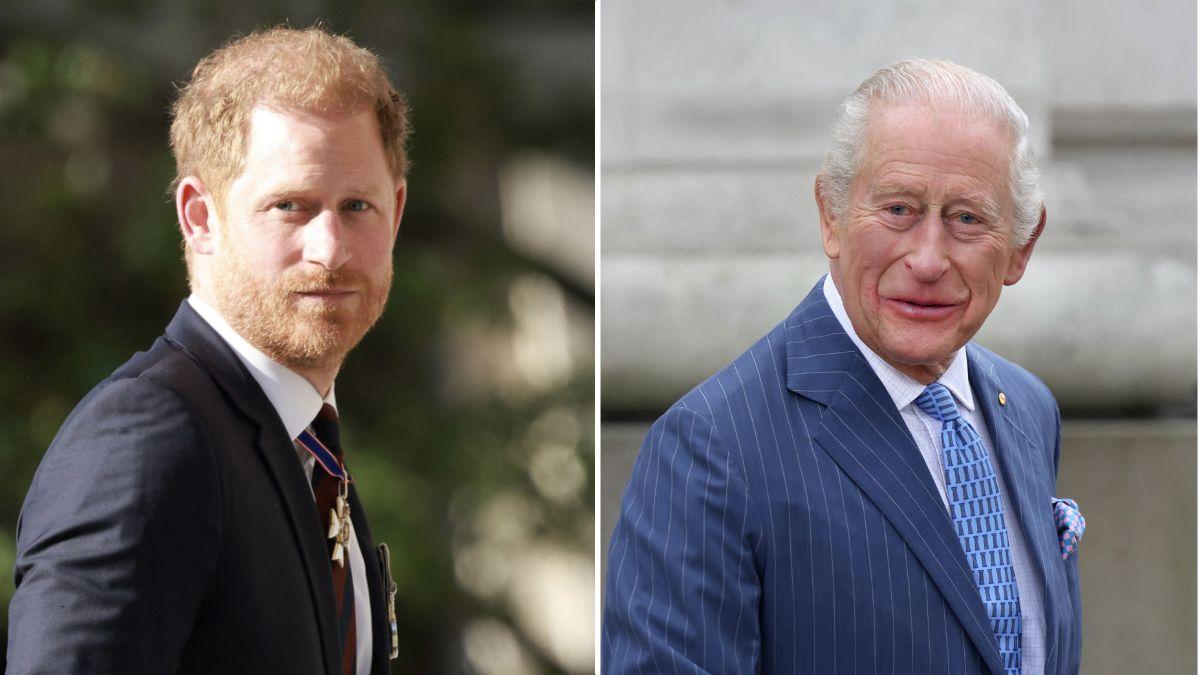 Photo of Prince Harry and King Charles