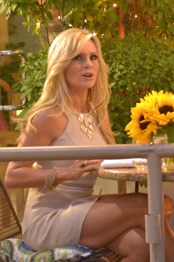 Tamra Barney Custody Case Allegations