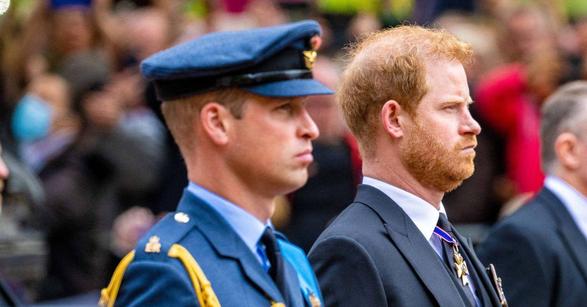 Photo of Prince William and Harry