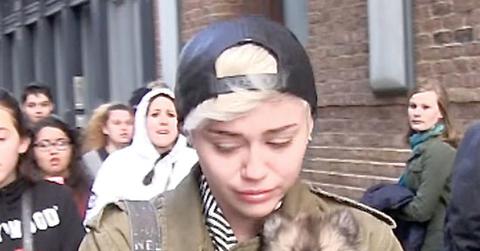 Miley Cyrus Crying Puppy Moonie