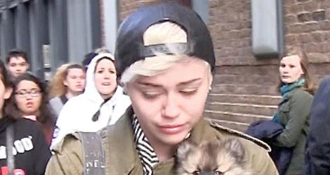 //miley cyrus crying puppy moonie