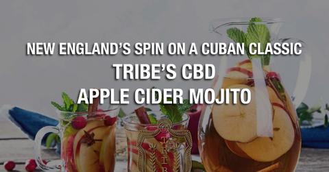 new englands spin on a cuban classic tribes cbd apple cider mojito pp