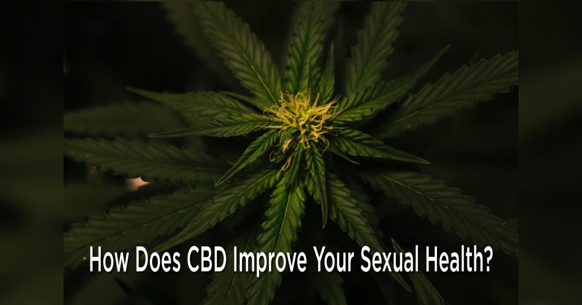 How Does Cbd Improve Your Sexual Health 4979