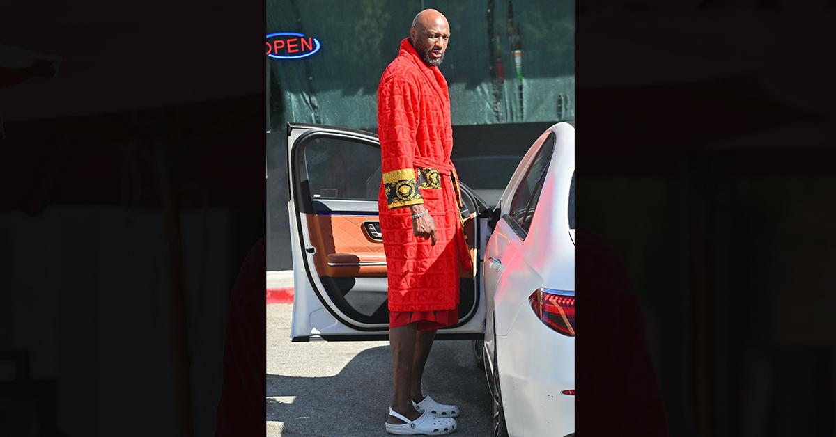 Lamar Odom Hires Kids to Work for Him At Odom Recovery Group, Company  Vacation