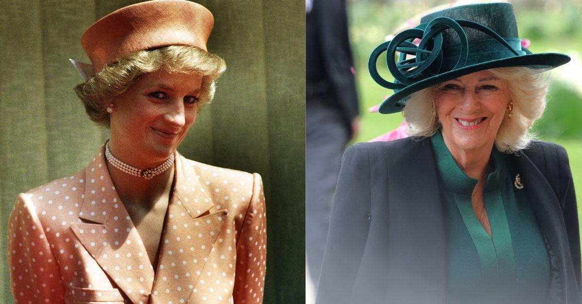 princess diana secret will revealed years after tragic death