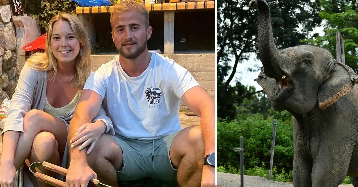 Spanish Tourist, 22, Killed by Elephant in Thailand as Her Boyfriend Watched — Sanctuary Closes Its Doors Following Horrific Incident