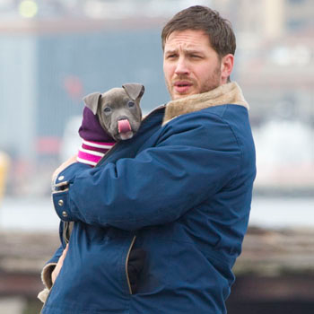 //tom hardy puppy splash news