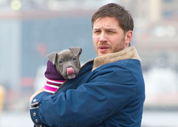 //tom hardy puppy splash news