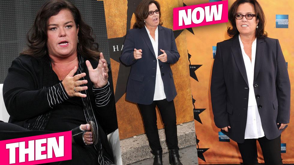 Rosie ODonnell Weight Loss Custody Battle