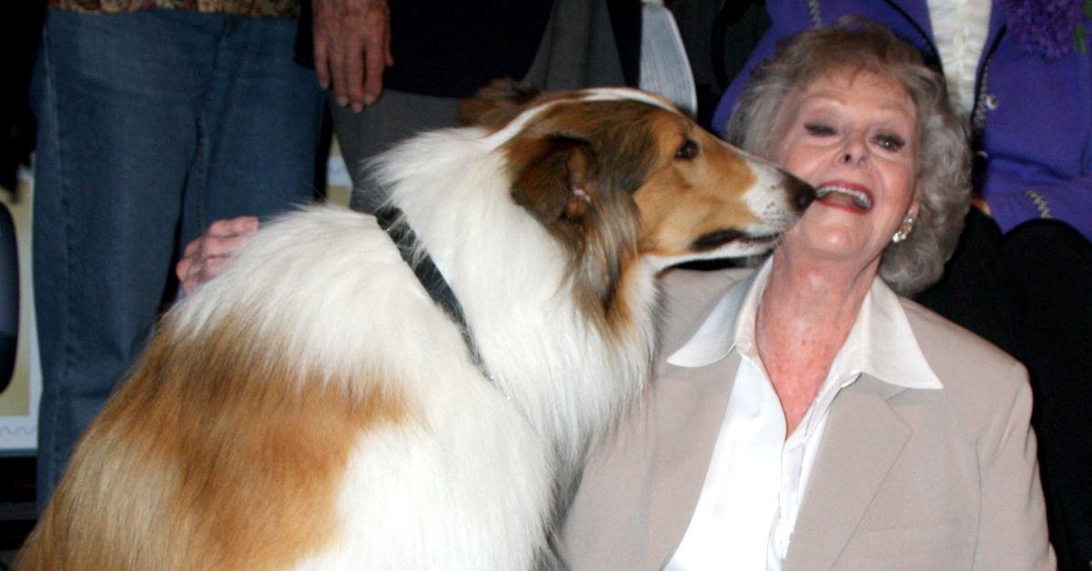 The '50s series 'Lassie' and the '60s show 'Lost in Space' contrasted with June Lockhart's adventurous side.