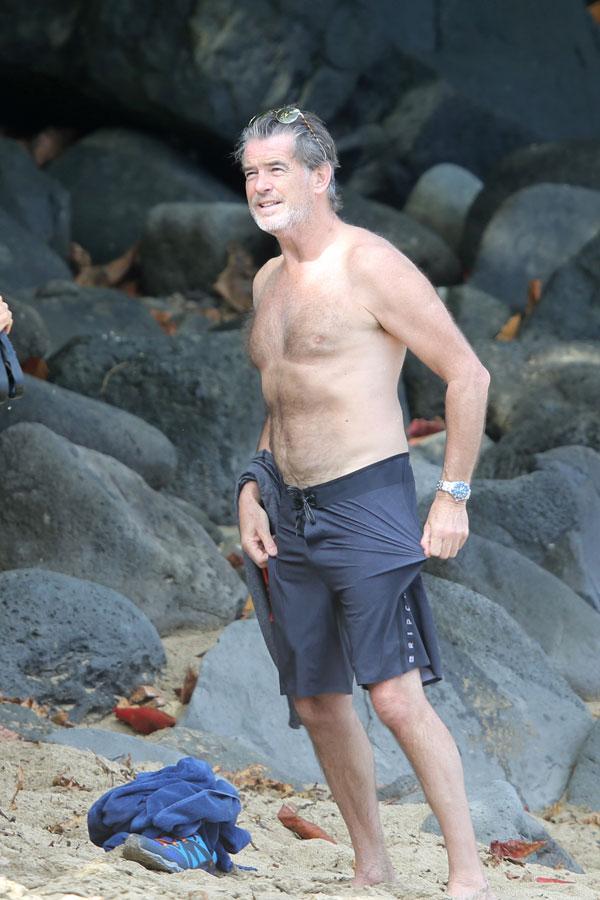 pierce brosnan keely shaye smith shirtless hawaii