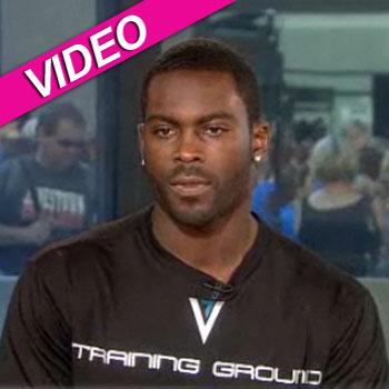 Michael Vick Seeks Forgiveness For Dog Fighting: 'I Was Naïve To The ...