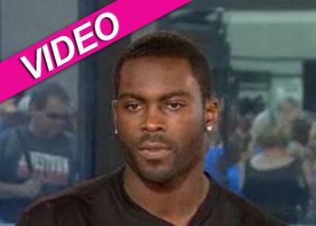 //michael vick dog fighting nbc