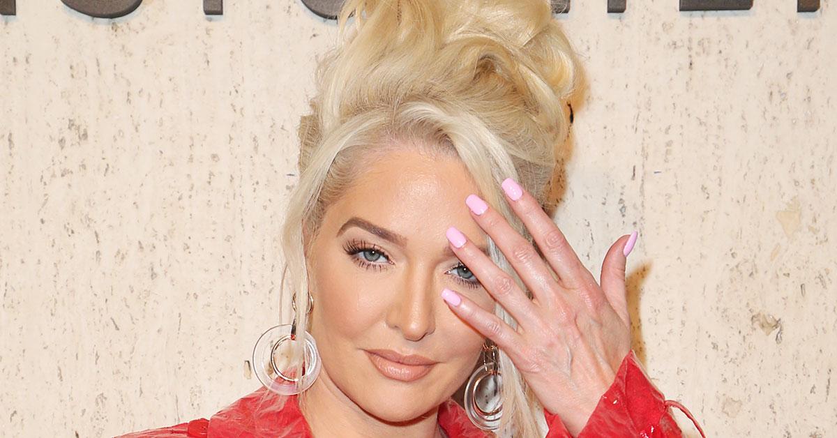 erika jayne pleads for more time prepare defense  million federal bankruptcy lawsuit r