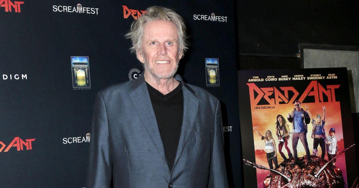Photo of Gary Busey