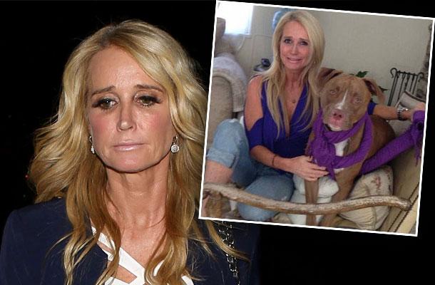 //Kim Richards Dog Bite Lawsuit Kay Rozario Appeal pp