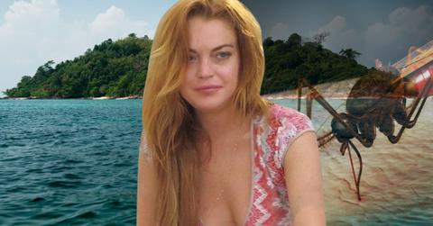 Lindsay Lohan Sick Chikungunya Virus