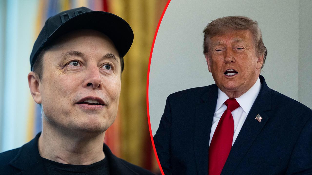 Elon Musk and President Donald Trump