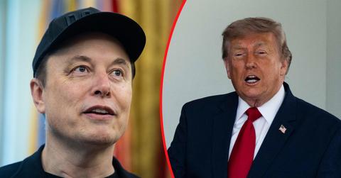 Elon Musk and President Donald Trump