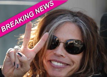 //steven tyler american idol wenn