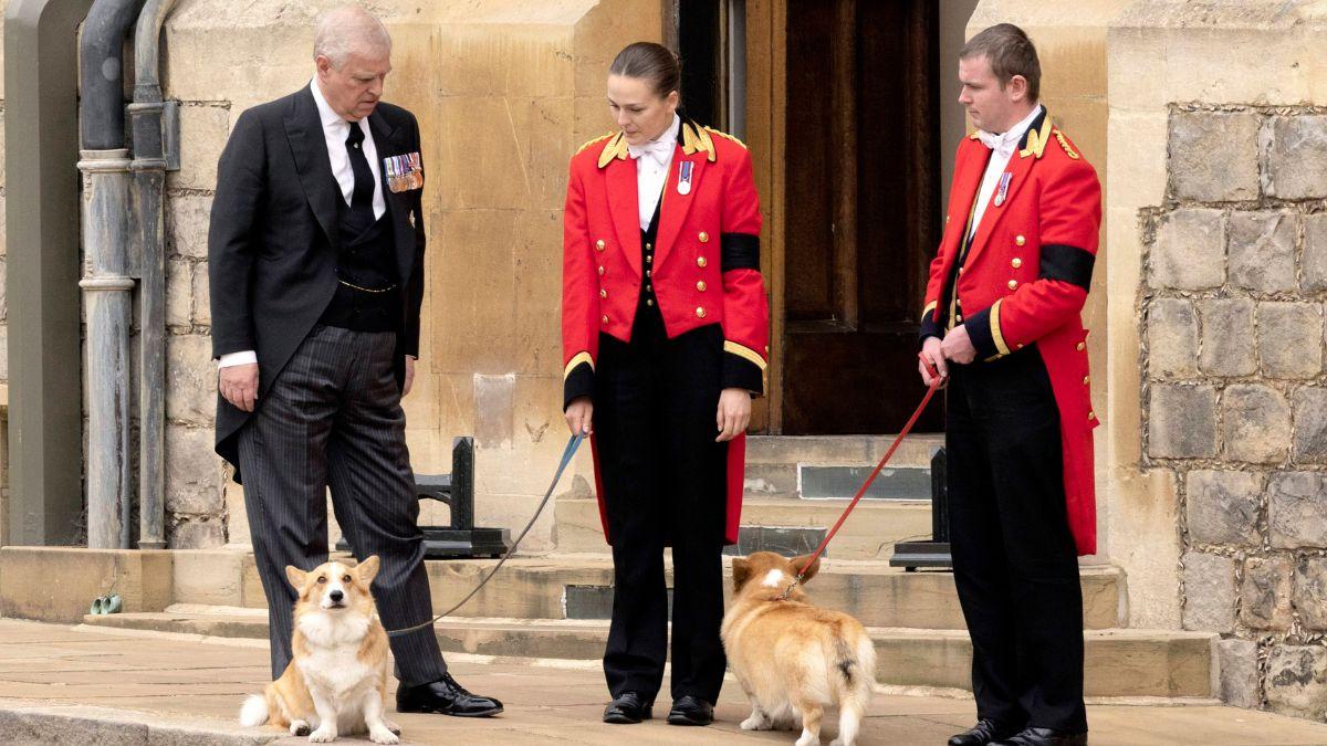 EXCLUSIVE: Prince Andrew Security Fears Surface in New Claims