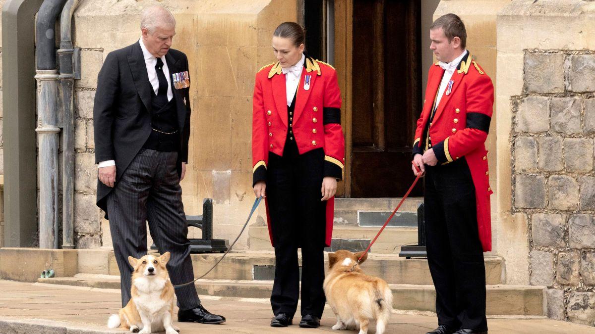 Photo of Andrew Windsor with Muick and Sandy