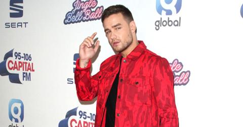 liam payne one direction tell all documentary on ice hospitalized
